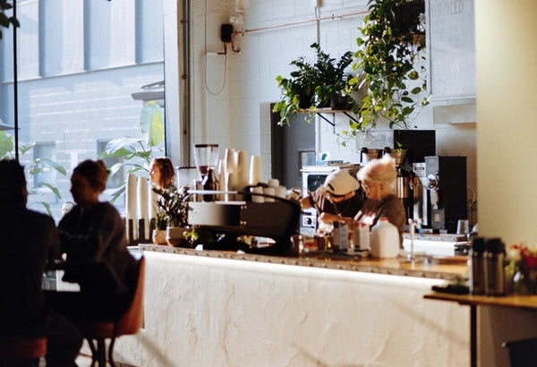 Afternoon light across the bar